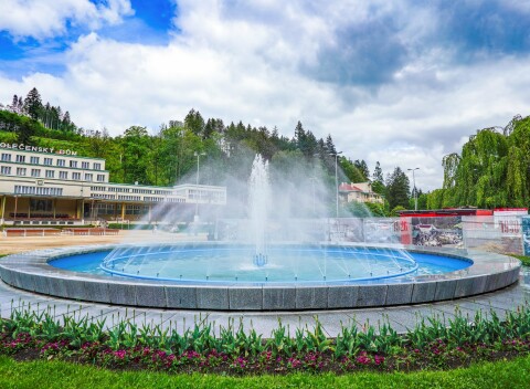 Luhačovice blízko kúpeľnej kolonády v Penzióne Pomněnka s raňajkami, kvalitným vínom a kávou s dezertom.