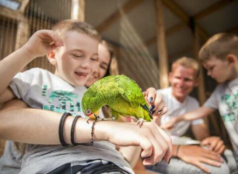 Vstup do ZOOKONTAKT family park v Liptovskom Mikuláši (otvorené celoročne)