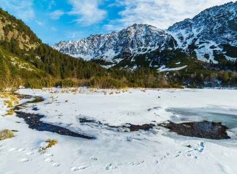 Vysoké Tatry v Hoteli Tatranec s polpenziou, vstupom do sauny a zľavou do AquaCity Poprad.