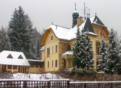 Luhačovice vo Vládnej vile priamo v centre s polpenziou + vstup do aquacentra.