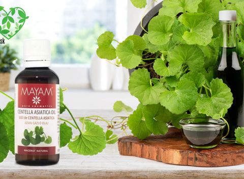 Olej Gotu Kola na hojenie rán, proti opuchom alebo ako prevencia proti vráskam.