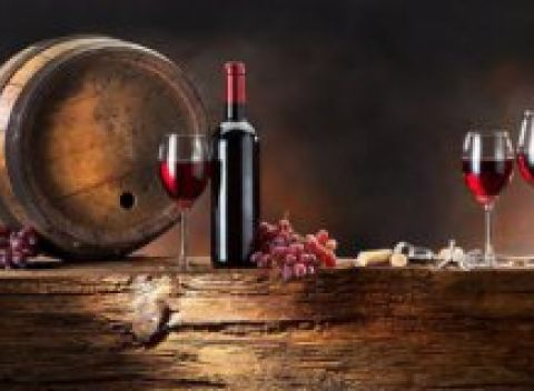 Nechajte sa uniesť atmosférou slávností mandlí a vína v mestečku Hustopeče a zámkom Mikulov.