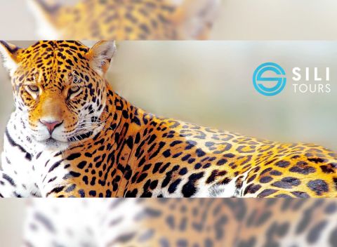 Zábavný 1-dňový zájazd do Maďarska: zoologická záhrada v meste Győr spojená s návštevou kúpeľov.