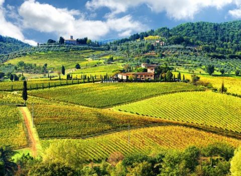 Dovolenka pod toskánskym slnkom v hoteli Petit Château*** s fľašou vína ako darček.