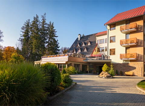 Termálny relaxačný pobyt v hoteli Termál - Vyhne s polpenziou a wellness