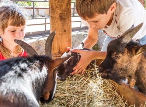 Vstupy do ZOO Bratislava - jednorázové alebo ročné vstupné pre všetkých.