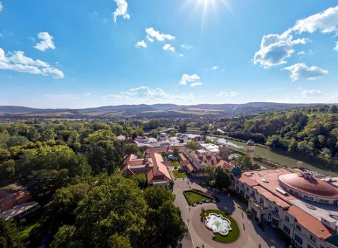 Horúca jar v Slovenských liečebných kúpeľoch Piešťany s polpenziou a so 7 procedúrami.