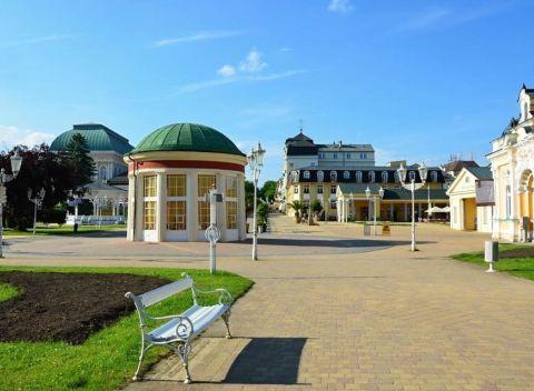 Františkovy Lázně v Penzióne Hortenzie so vstupom do vodného sveta a polpenziou.