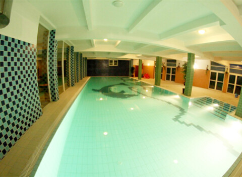 Hotel Daisy Superior priamo v Krakove s bazénom a saunou