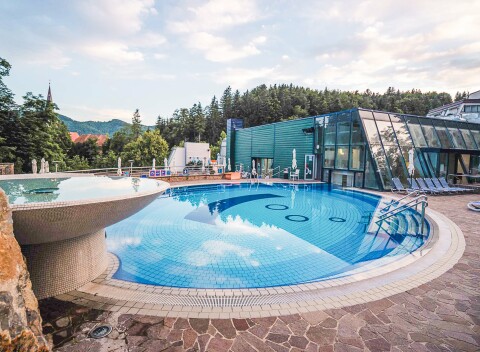 Slovinsko: Terme Dobrna - Hotel Vila Higiea **** s polpenziou a termálnym wellness + možnosť sáun