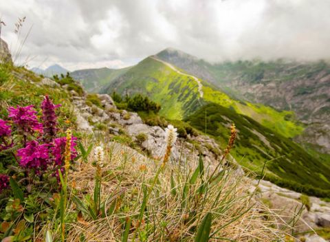 Buďte sami sebe pánmi a navštívte Tatranský Dom v krásnom údolí Tatranskej kotliny.
