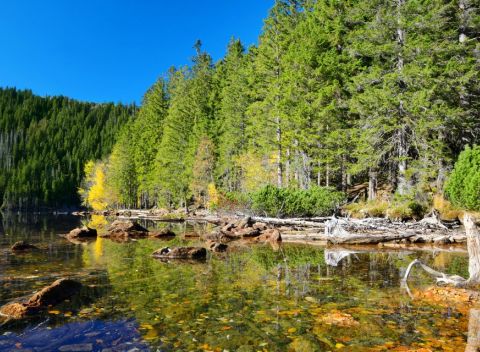 Šumava: Relaxačný pobyt v Hoteli Centrál *** neobmedzeným wellness a polpenziou.