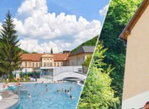 Romantický wellness pobyt vo Ville Carpe Diem*** v Trenčianskych Tepliciach.