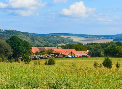 Pobyt blízko Plzne a Křivoklátska: Penzión Farma Dvorec s prehliadkou farmy, polpenziou a degustačnou doskou