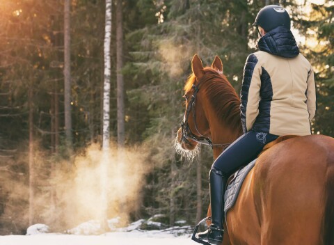 Jizerské hory: Pobyt v Hoteli Farma Vysoká *** s raňajkami/polpenziou, privátnym wellness a vyžitím pre deti