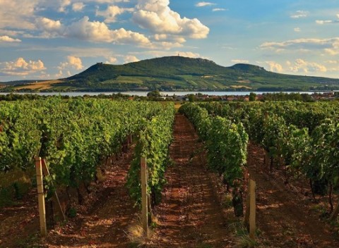 Pobyt v rodinnom penzióne Mlýn na južnej Morave s možnosťou konzumácie vína a burčiaku s rautom.