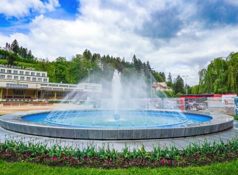 Luhačovice blízko kolonády a prameňov v Penzióne Pomněnka s raňajkami/polpenziou, vínom a kávou s dezertom