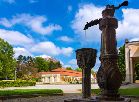 Príjemný letný pobyt pre 2 osoby s raňajkami a súkromným wellness v hoteli Anne Mary.