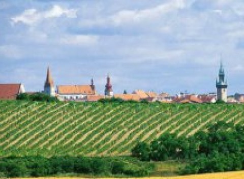 Oddychová dovolenka s polpenziou a fľašou vína v Znojme, malebnej krajine južnej Moravy.