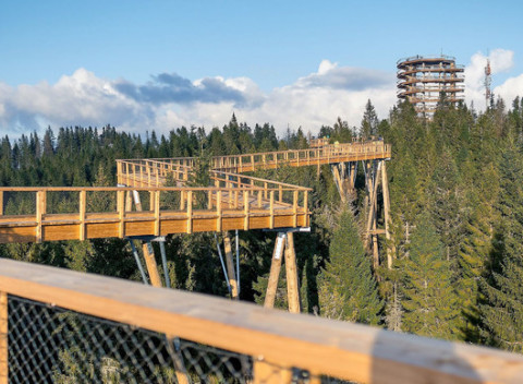Prenájom celej chaty Starý Mlyn pre max. 14 ľudí len 5 km od Chodníka korunami stromov.