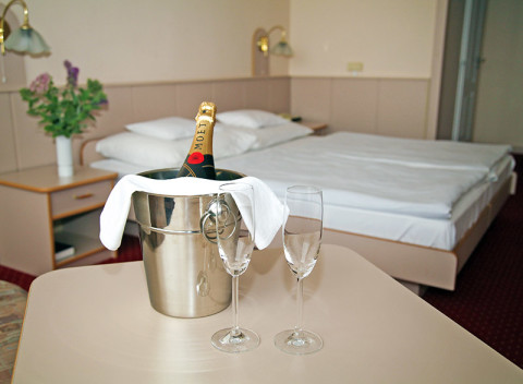 Ubytovanie pre oboch v luxusnom 4* hoteli v tokajskej vinárskej oblasti s wellness, vínom a polpenziou.