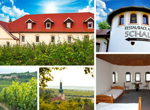 Južná Morava: Oddychový pobyt v Hoteli Schaller pri Znojme aj so vstupenkami na unikátny vínobus.