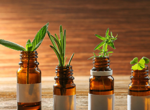 Liečba bylinkami – vstupné akebo kontrolné vyšetrenie fytoterapeutom.