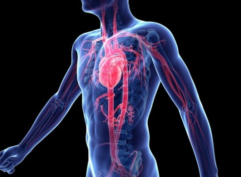 Nakopnite si krvný obeh pomocou Sonotherapie - vyšetrenie a liečba cievneho systému.