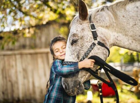 Detský tábor s jazdou na koni na Ranči Lieskovec v Bratislave