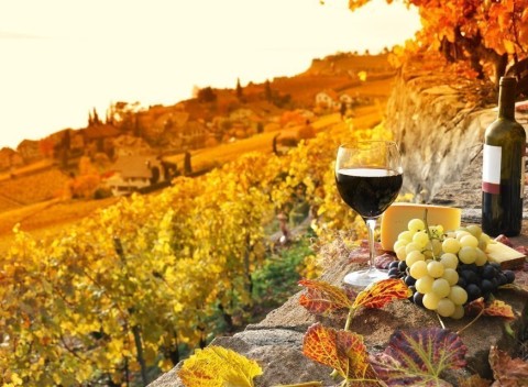 Južná Morava s polpenziou + neobmedzená konzumácia vína v penzióne V Zahraničí.