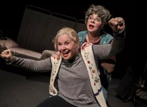 Staré dámy Gammel Dame Er Vond Å Vende v Štúdiu L+S