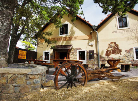 Južná Morava v pokojnom penzióne pri Znojme s privátnym vstupom do sauny, vínom a polpenziou.