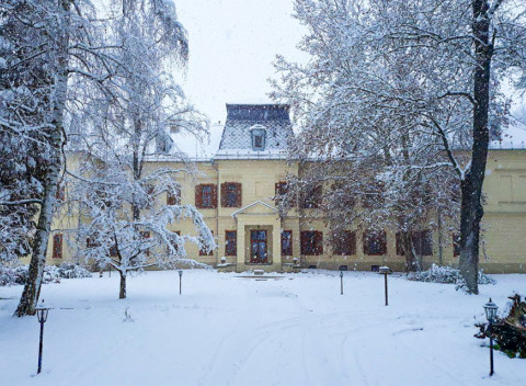 Maďarsko luxusne na zámku: neobmedzený vstup do wellness a fitness centra, s polpenziou.