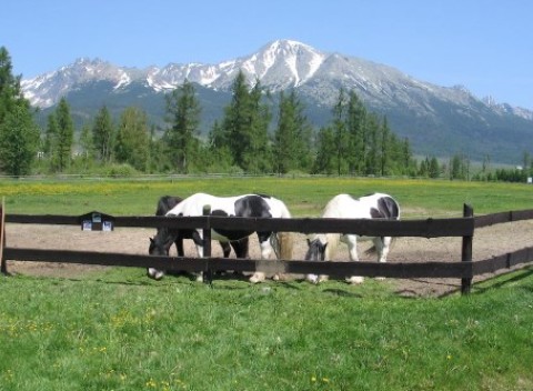 Rozprávkový 4* pobyt pre milovníkov koní. Wellness s bazénmi pod Gerlachom - CELOROČNE!