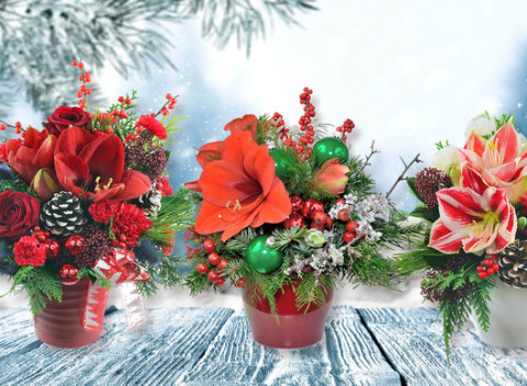 Vianočné kytice plné zimy. Sú červené, sú biele, sú zimné a vianočné.