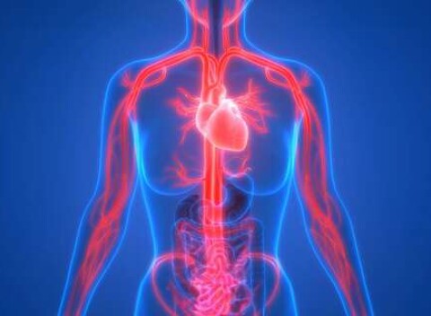 Vyšetrenie a liečba cievneho systému pomocou Sonotherapie a teraz aj liečba fotomodulačnými LED panelmi