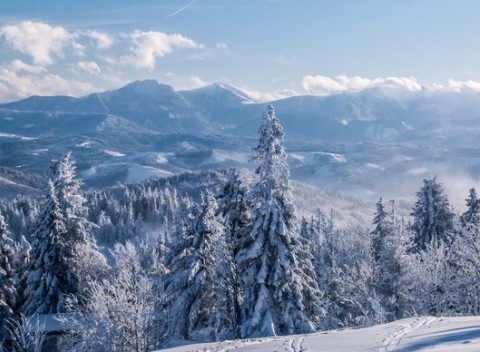 Na Kysuciach nájdete ubytovanie a oddych pre celú rodinu s polpenziou v Hoteli Severka***.
