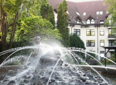 Pobyt s kúpaním, saunovaním a stravou v pokojnej časti Budapešti vo Wellness Hoteli Rubin****.