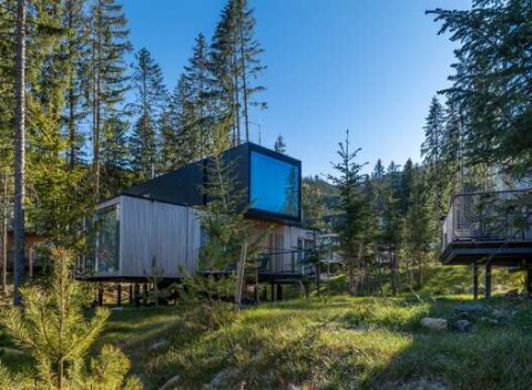 Dovolenka v unikátnych Björnson Tree Houses s polpenziou a wellness + 2 deti do 10 rokov úplne zadarmo