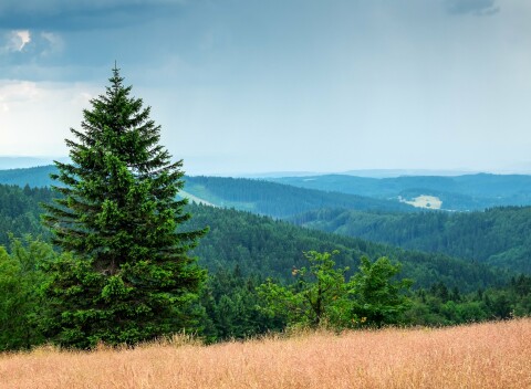 Orlické hory pri pamiatkach a atrakciách: Horní Libchavy v Apartmánoch na Vršku s raňajkami + piknikový kôš