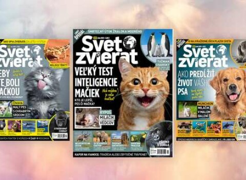 Ročné predplatné - 4 vydania časopisu Svet zvierat