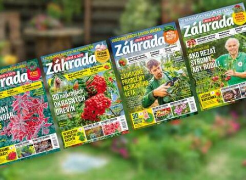Ročné predplatné inšpiratívneho časopisu Záhrada