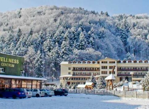 Víkendový pobyt s raňajkami a wellness v hoteli Javorna v srdci prírody Čergova