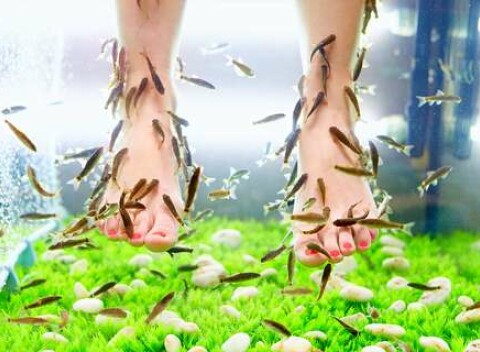 Biopedikúra rybičkami Garra Rufa