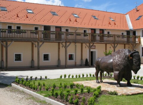 Prírodný park Česká Kanada: Nevšedný pobyt na Bison Ranch Rožnov s raňajkami/polpenziou + víno a občerstvenie