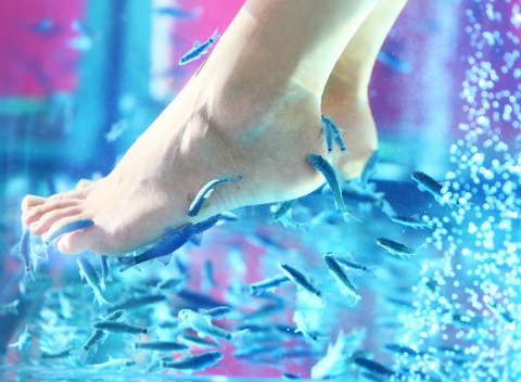 Starostlivosť o nohy a ruky rybičkami Garra rufa. Čistejšia a jemnejšia pokožka rúk a nôh.