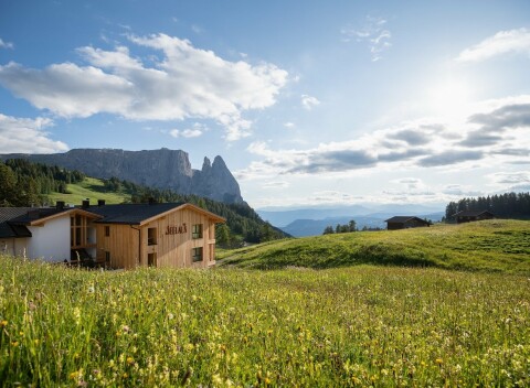 Wellness pobyt v Južnom Tirolsku: Seiser Alm v Hoteli Seelaus **** s polpenziou, krytým bazénom a 2 saunami