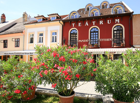 Kúpele Győr v hoteli v centre s polpenziou + varianty so vstupom do termálov.