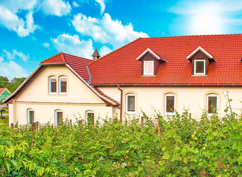 Južná Morava v hoteli len 4 km od Znojma s prehliadkou kláštora + raňajky alebo polpenzia.