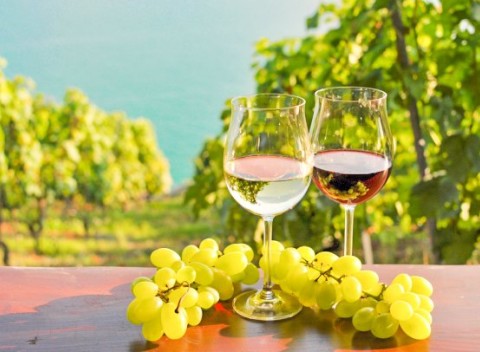 Južná Morava: penzión Šatovské Lípy + neobmedzená konzumácia vína a polpenzia.